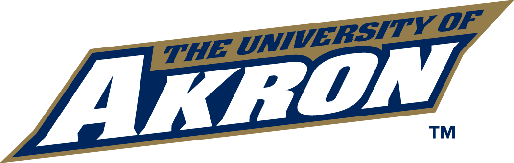 Akron Zips 2002-2007 Wordmark Logo decal supplier